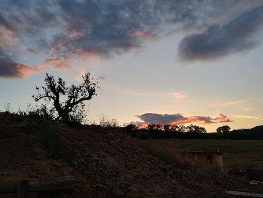 Apartmán Casal Del Sole - L'Ulivo Montefelcino Exteriér fotografie